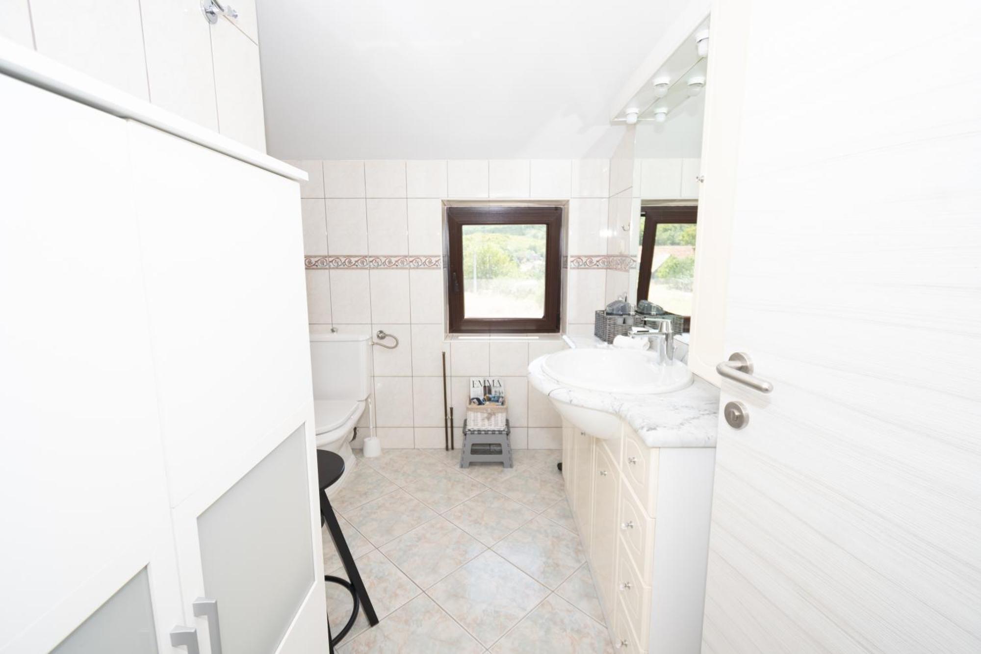 Spacious Villa For 10 With A Big Private Pool Trilj Екстер'єр фото